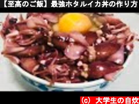 【至高のご飯】最強ホタルイカ丼の作り方  (c) 大学生の自炊